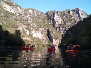 Descensp del Sil